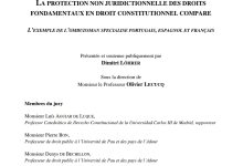 LA PROTECTION NON JURIDICTIONNELLE DES DROIT SFONDAMENTAUX EN DROIT CONSTITUTIONNEL COMPARE