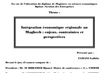 Intégration économique régionale auMaghreb : enjeux, contraintes etperspectives