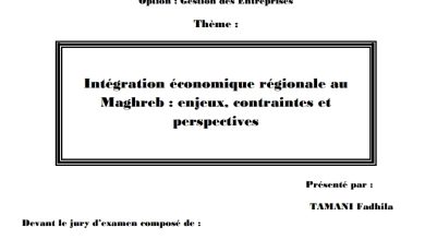 Intégration économique régionale auMaghreb : enjeux, contraintes etperspectives