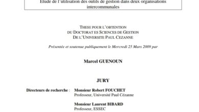 LE MANAGEMENT DE LA PERFORMANCE PUBLIQUE LOCALE