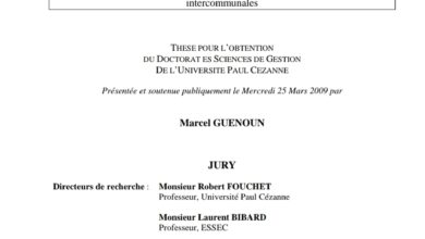 Le management de la performance publique locale
