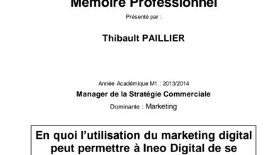 En quoi l’utilisation du marketing digital peut permettre à Ineo Digital