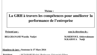 La GRH à travers les compétences pour améliorer la performance de l’entreprise
