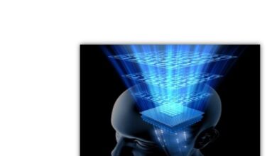 Marketing et comportement du consommateur