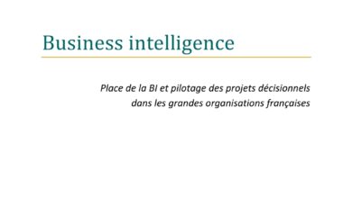 Business intelligence  