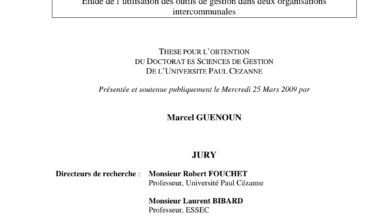 LE MANAGEMENT DE LA PERFORMANCEPUBLIQUE LOCALE