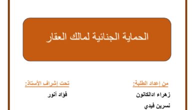 الحماية الجنائية لمالك العقار