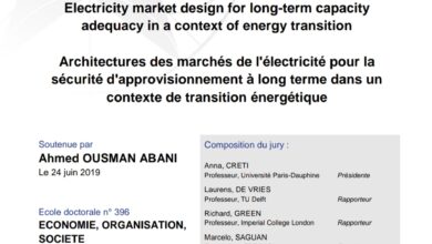 Electricity market design for long-term capacity adequacy in a context of energy transition