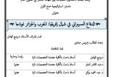 الدفاع السيبراني في شمال إفريقيا المغرب والجزائر نموذجا