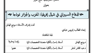الدفاع السيبراني في شمال إفريقيا المغرب والجزائر نموذجا