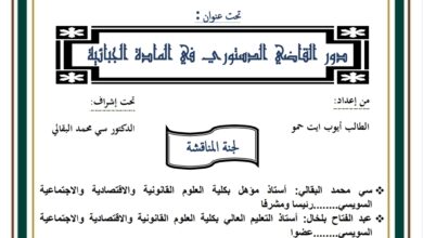 دور القضاء الدستوري في المادة الجبائية